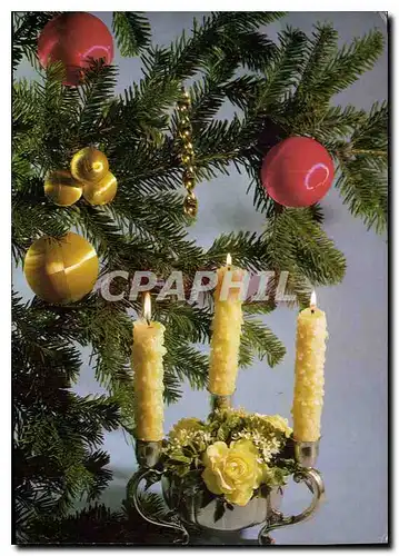 Moderne Karte Sapin