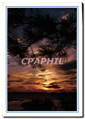 Cartes postales moderne PP Coucher de soleil