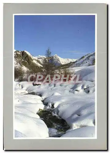 Cartes postales moderne Les joies de la neige