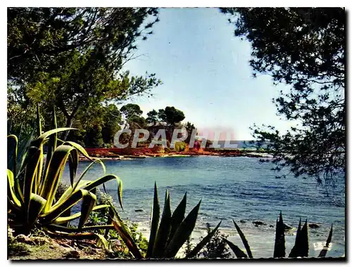 Cartes postales moderne Reflets de la Cote D'Azur