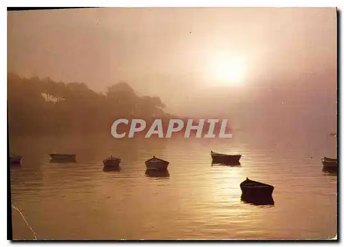 Cartes postales moderne Brume matinale