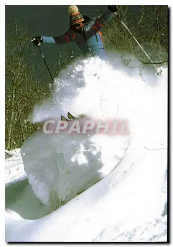 Cartes postales moderne Plaisir de la neige Ski