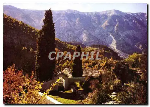 Cartes postales moderne Les Belles Couleurs de Provence