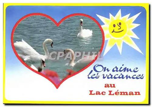 Cartes postales moderne Le Lac Leman France Suisse