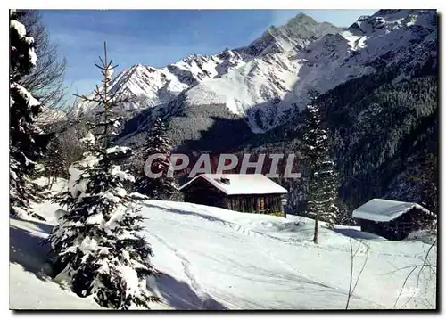 Cartes postales moderne La cabane de l'hiver