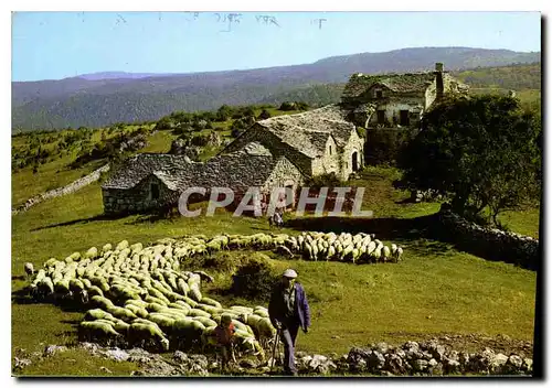 Moderne Karte Depart pour le Paturage