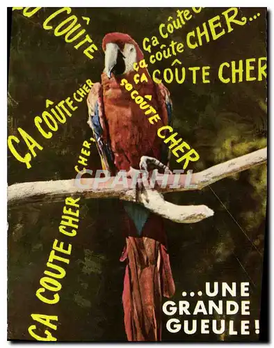 Cartes postales moderne Animaux Humoristiques Ara Amerique Perroquet