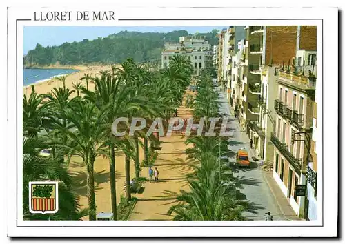 Cartes postales moderne Costa Brava Lloret de Mar Paseo Ma Jacinto