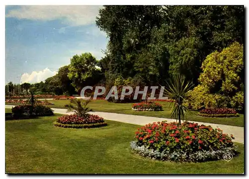 Cartes postales moderne La Cote Fleurie Cabourg Calvados La Plage des fleurs