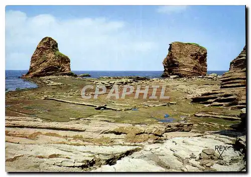 Cartes postales moderne Cote Basque Hendaye Franiere Franco Espagnole Les Deux Jumeaux