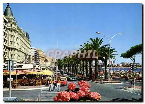 Cartes postales moderne La Cote d'Azur Cannes Le Restaurant Festival et le Carlton