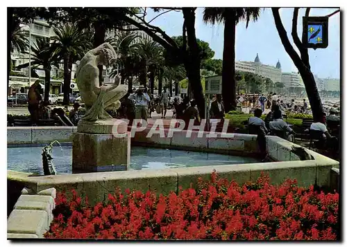 Cartes postales moderne Cannes Un coin Jardins de la Croissete