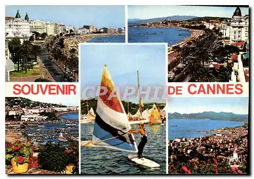 Cartes postales moderne La Cote d'Azur Cannes