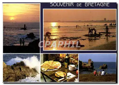 Cartes postales moderne Couleurs de Bretagne Coulourful Brittany