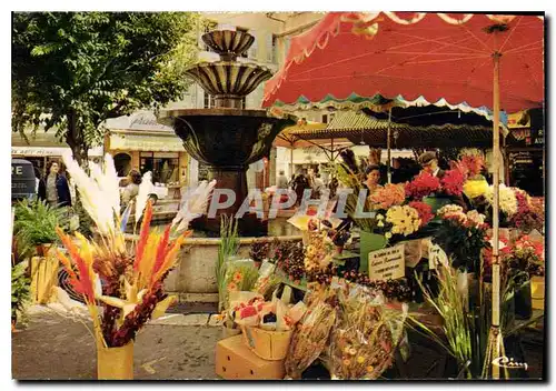 Cartes postales moderne Grasse La Place aux Aires le marche aux fleurs