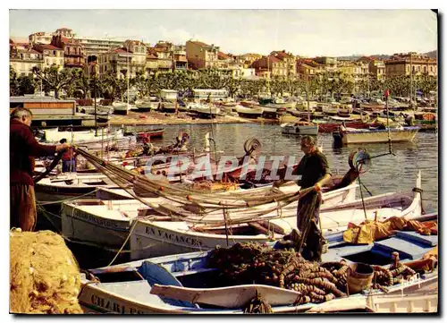 Cartes postales moderne Couleurs et Lumiere de France La Cote d'Azur miracle de la nature Cannes Alpes Maritimes Le Port