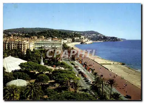 Cartes postales moderne Reflets de la Cote d'Azur Nices A Mmes Les Jardins Albert