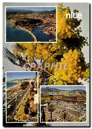 Cartes postales moderne Couleurs et Lumiere de France La Cote d'Azur Miracle de la Nature Nice Alpes Maritimes