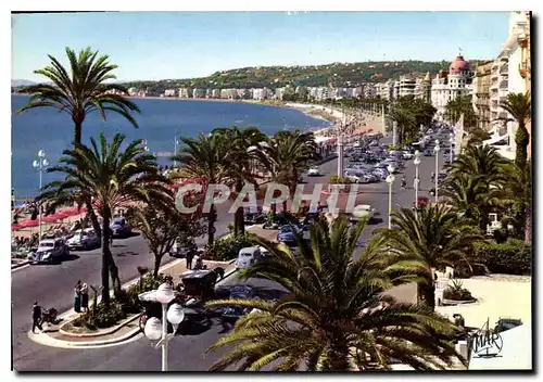 Cartes postales moderne La Cote d'Azur Nice La Promenade des Anglais