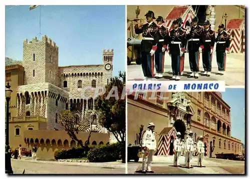 Cartes postales moderne Refelts de la Cote d'Azur Palais de Monaco