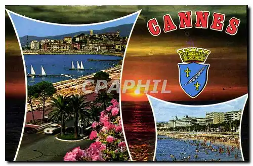 Cartes postales moderne Cote d'Azur French Riviera Cannes Alpes Maritimes La Croisette La Plage