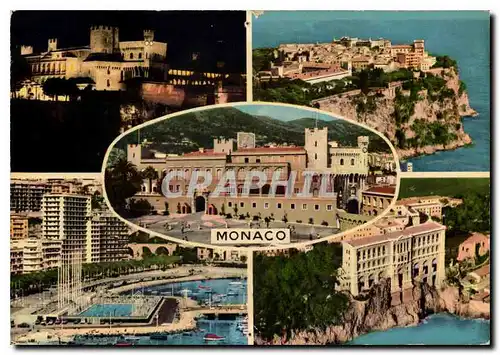 Cartes postales moderne Souvenir de le Principaute de Monaco