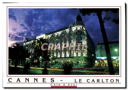 Cartes postales moderne La Cote d'Azur French Riviera Cannes Le Carlton