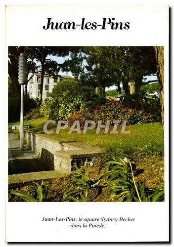 Cartes postales moderne Juan les Pins le square Sydney Bechet dans la Pinede
