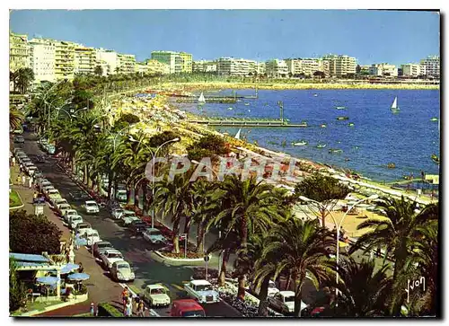 Cartes postales moderne Couleurs et Lumiere de France La Cote d'Azur miracle de la nature Cannes Alpes Maritimes La Caro