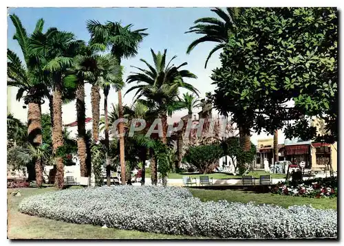 Cartes postales moderne La Cote d'Azur Cannes Le Jardin