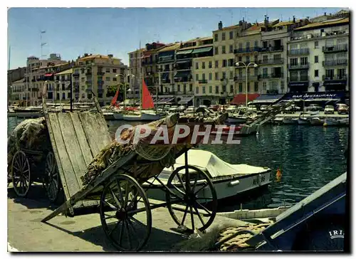 Cartes postales moderne Reflets de la Cote d'Azur Cannes A Mmes Le Quai St Pierre