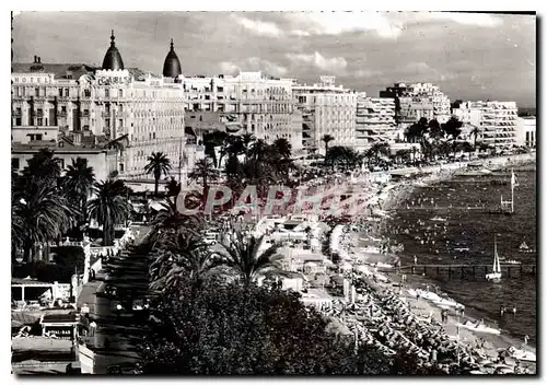 Cartes postales moderne La Cote d'Azur Cannes Le boulevard de la Croisette