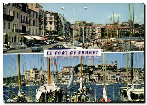 Cartes postales moderne La Cote d'Azur Cannes