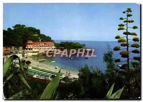 Cartes postales moderne Les Sites Merveilleux de la Cote d'Azur Principaute de Monaco Le Beach de Monte Carlo