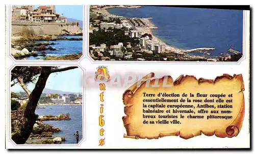 Cartes postales moderne Antibes