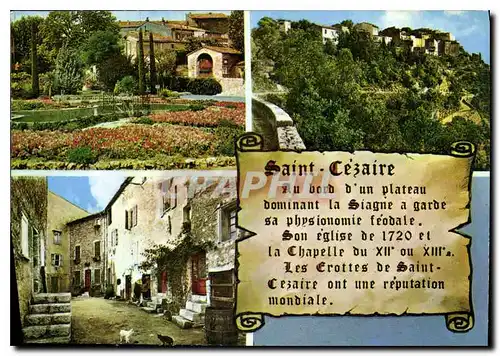 Cartes postales moderne Saint Cezaire sur Siagne