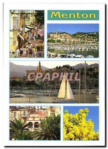 Cartes postales moderne Menton Alpes Maritimes