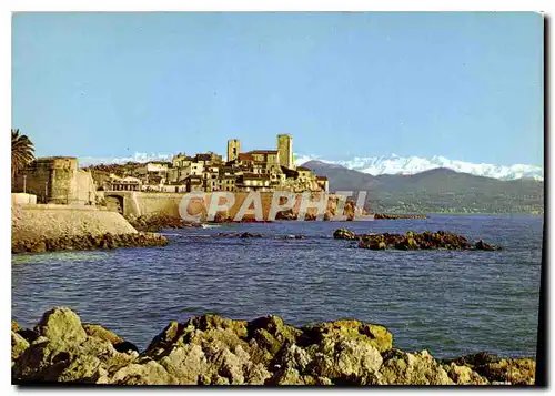 Cartes postales moderne Antibes Ses Remparts dans le fond le Chaine des Alpes