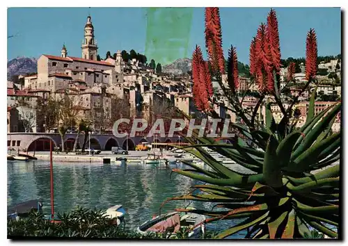 Cartes postales moderne Cote d'Azur Menton Le Port et la Vieille Ville