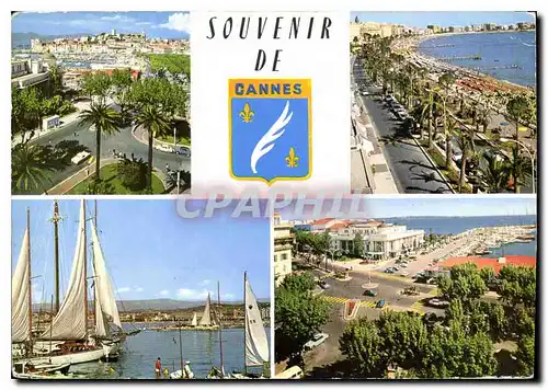 Cartes postales moderne Cannes Souviner de Cannes