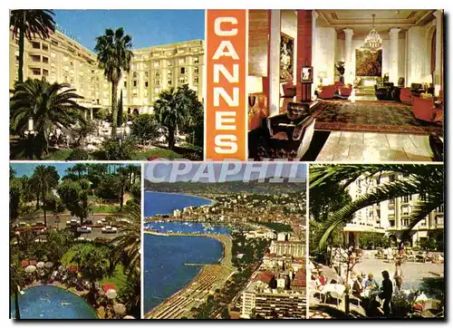 Cartes postales moderne Couleurs et Lumiere de France La Cote d'Azur Miracle de la Nature Cannes Alpes Maritimes Hotel M