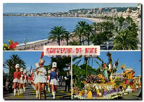 Cartes postales moderne Cote d'Azur Nice Alpes M Souvenir de Nice