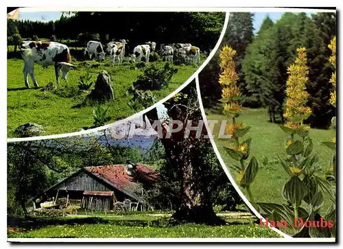 Moderne Karte Images de Franche Comte Besancon Doubs Aspects de Haut Doubs A proximite des vieilles fermes a T