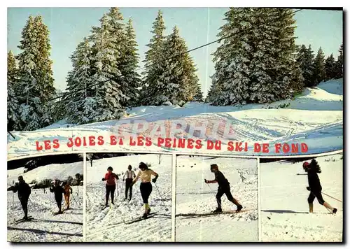 Cartes postales moderne Le ski de fond