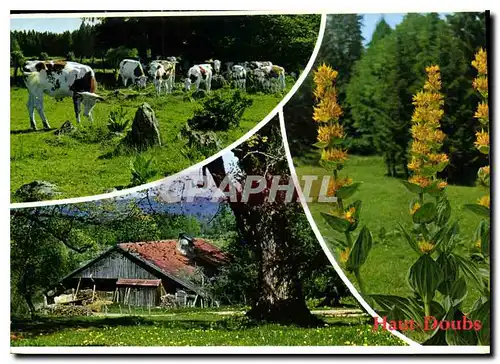 Cartes postales moderne Aspects du Haut Doubs A proximite des vieilles fermes a Thues