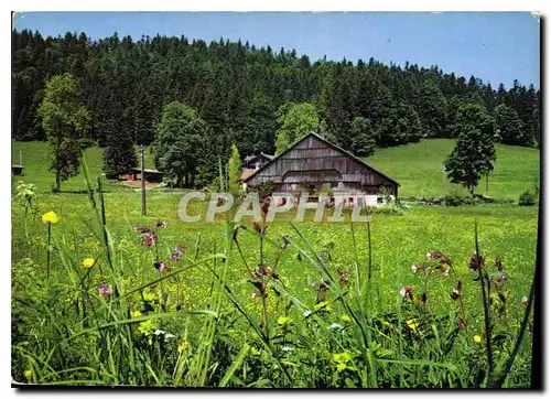 Cartes postales moderne A la decouverte du Haut Doubs La vieille ferme du Chauffaud