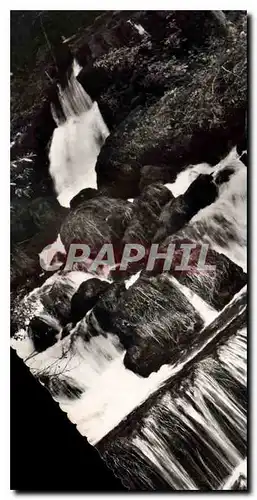 Cartes postales moderne Source du Desssoubre