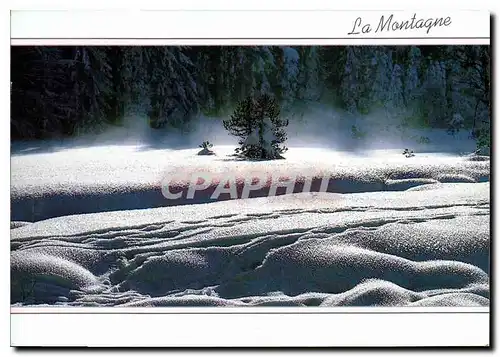 Cartes postales moderne Images de nos montagnes en hiver