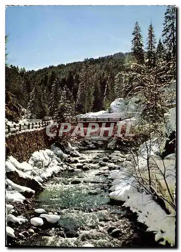 Cartes postales moderne Chamonix MOnt Blanc