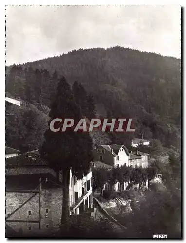 Cartes postales moderne La Louvesc Ardeche Paysage sur le Mont Chaix le Grand Hotel et l'Hotel des Genets